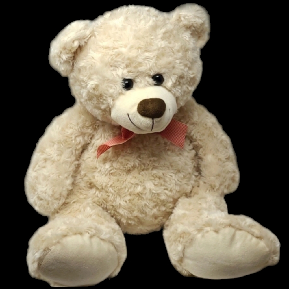 20" BURTON + BURTON BEIGE TEDDY BEAR